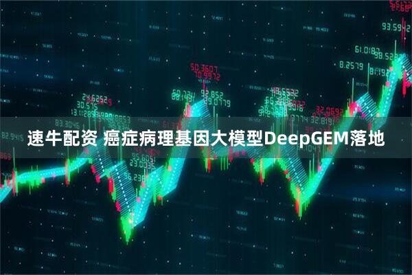 速牛配资 癌症病理基因大模型DeepGEM落地
