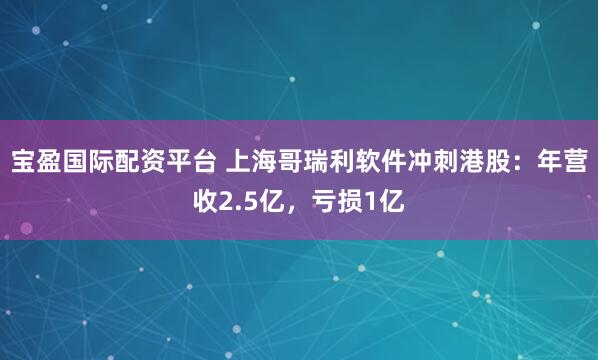 宝盈国际配资平台 上海哥瑞利软件冲刺港股：年营收2.5亿，亏损1亿